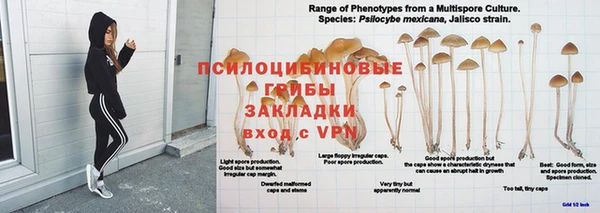 кокаин премиум Арсеньев
