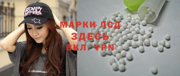 сатива Аркадак