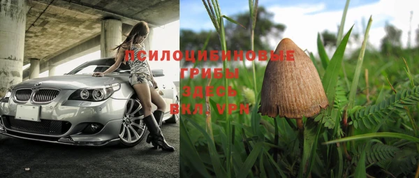 PSILOCYBIN Армянск